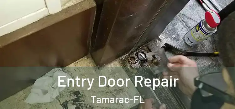 Entry Door Repair Tamarac-FL