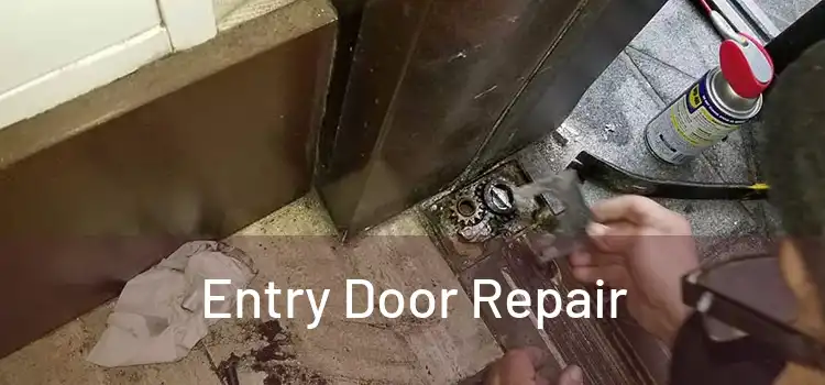 Entry Door Repair