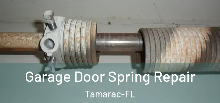 Garage Door Spring Repair Tamarac-FL