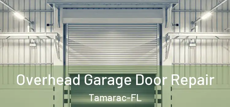 Overhead Garage Door Repair Tamarac-FL